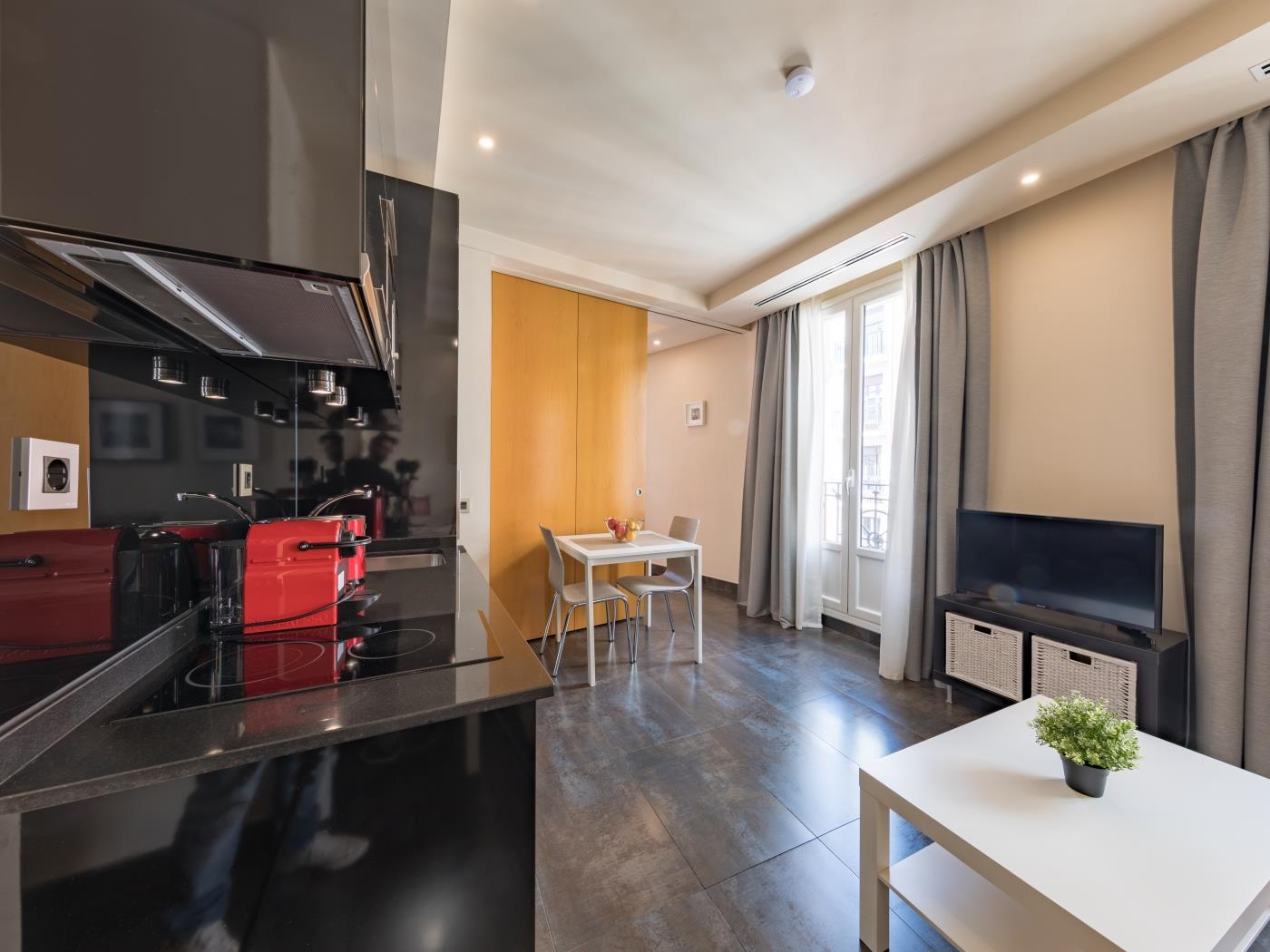 Sandoval - 1 bedroom in Madrid