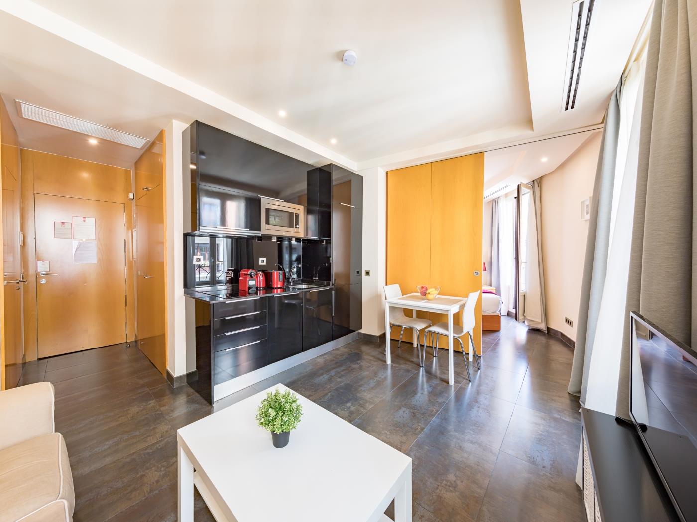 Sandoval - 1 Bedroom with Sofa Bed in Madrid