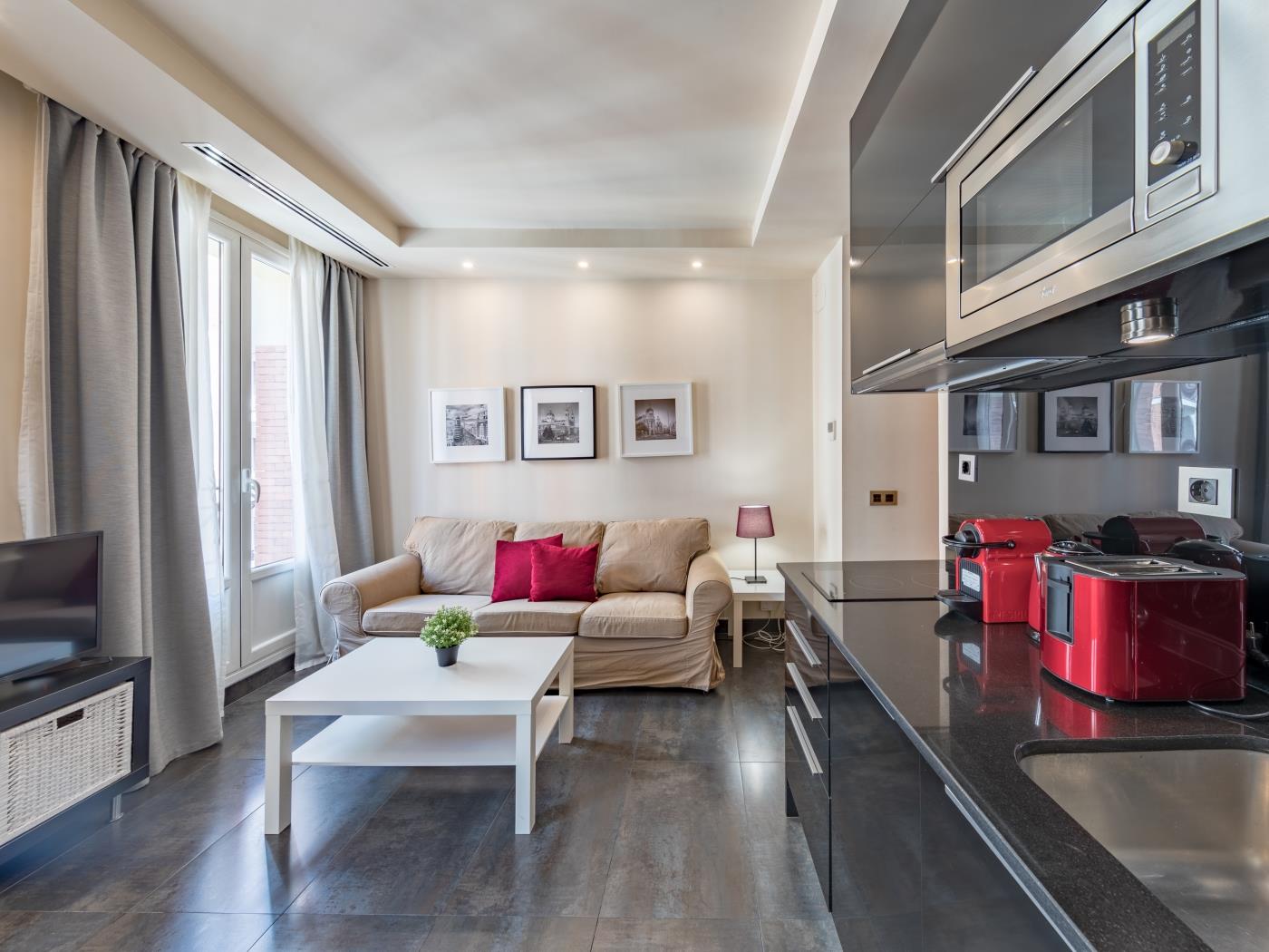Sandoval - 1 Bedroom with Sofa Bed in Madrid
