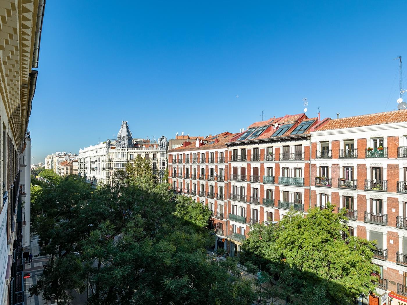 Alcalá Parque del Retiro en Madrid