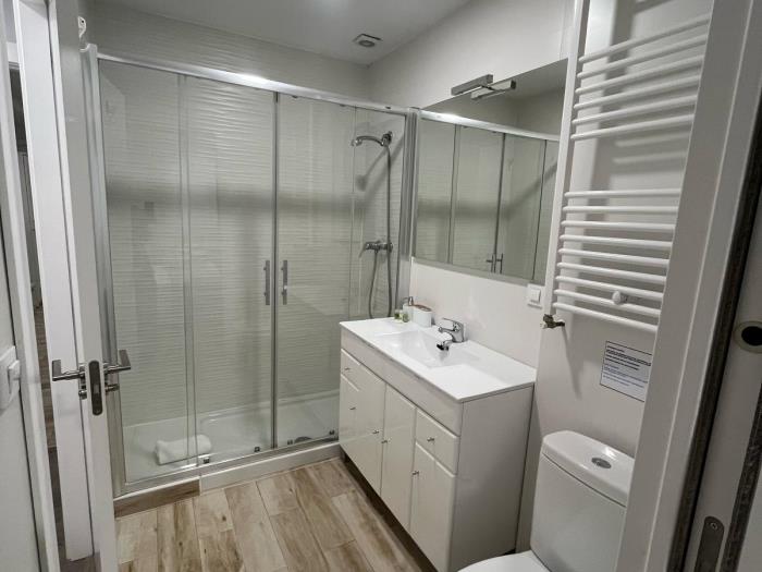 Paseo de la Castellana - 2 Bedrooms in Madrid
